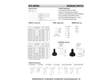 Ключ CK  MTS-202 ON/ON 6PIN SMALL