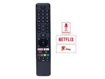RC RC43161 RC43160 + Voice