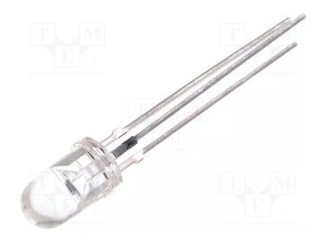 BPV11