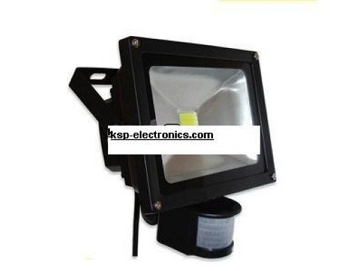 LED PROJECTOR 10W  IP66